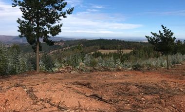 Sitio en Venta en Sector Alto Ramirez