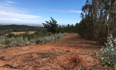 Sitio en Venta en Sector Alto Ramirez