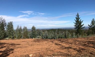 Sitio en Venta en Sector Alto Ramirez