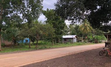 Titled Land for Sale ideal for Industrial Plant or Farm Lot at Mantibugao Manolo Fortich Bukidnon