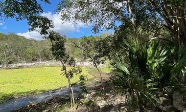 Terrenos en Venta en Entreselvas en Kantunil