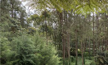 Venta o Renta Finca Parcelacion El Retiro