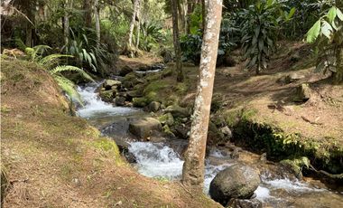 Venta o Renta Finca Parcelacion El Retiro