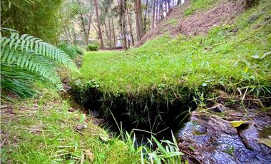 Venta o Renta Finca Parcelacion El Retiro