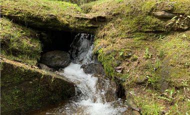 Venta o Renta Finca Parcelacion El Retiro