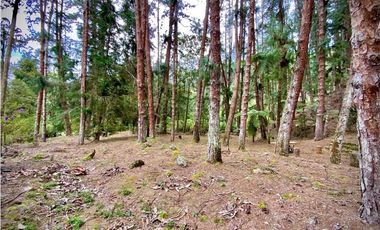 Venta o Renta Finca Parcelacion El Retiro