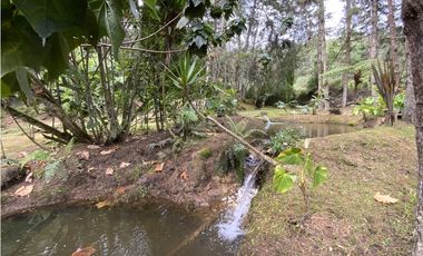 Venta o Renta Finca Parcelacion El Retiro
