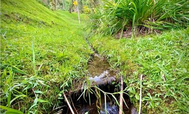 Venta o Renta Finca Parcelacion El Retiro