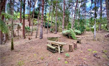 Venta o Renta Finca Parcelacion El Retiro