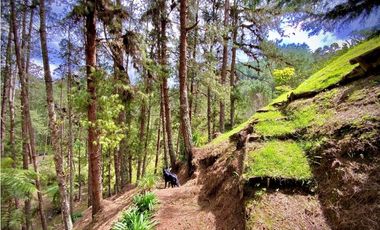 Venta o Renta Finca Parcelacion El Retiro
