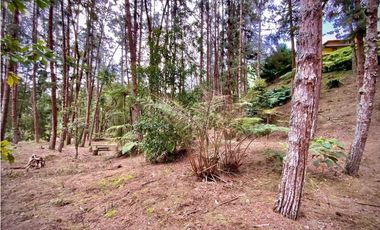 Venta o Renta Finca Parcelacion El Retiro