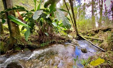 Venta o Renta Finca Parcelacion El Retiro