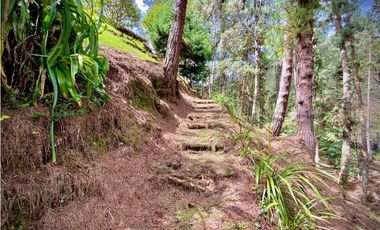 Venta o Renta Finca Parcelacion El Retiro