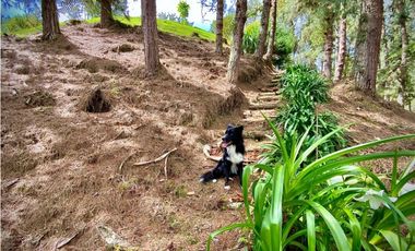 Venta o Renta Finca Parcelacion El Retiro