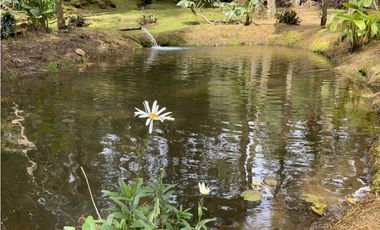 Venta o Renta Finca Parcelacion El Retiro