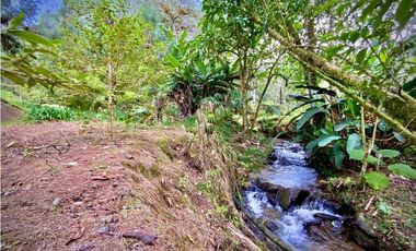 Venta o Renta Finca Parcelacion El Retiro