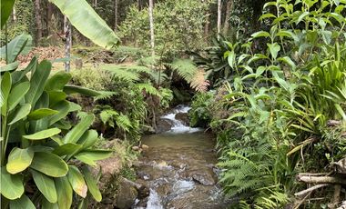 Venta o Renta Finca Parcelacion El Retiro