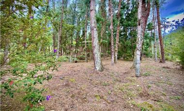 Venta o Renta Finca Parcelacion El Retiro