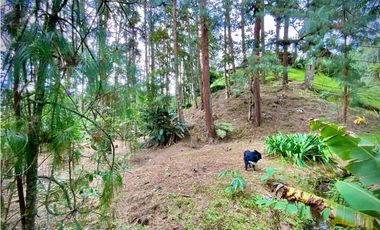 Venta o Renta Finca Parcelacion El Retiro