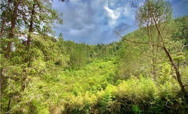 Venta o Renta Finca Parcelacion El Retiro