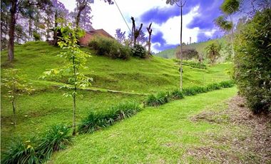 Venta o Renta Finca Parcelacion El Retiro