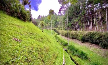 Venta o Renta Finca Parcelacion El Retiro