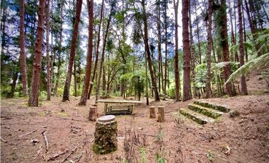 Venta o Renta Finca Parcelacion El Retiro