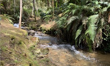 Venta o Renta Finca Parcelacion El Retiro