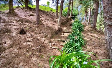 Venta o Renta Finca Parcelacion El Retiro