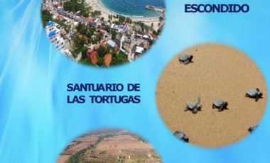 Terreno sobre av. principal y colindante con dos universidades, Pto. Esc. Oax.