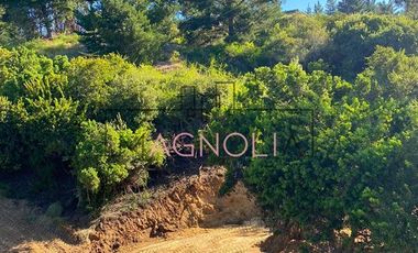 Sitio en Venta en el chorrillo