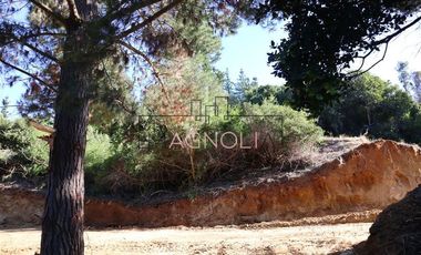 Sitio en Venta en el chorrillo