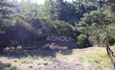 Sitio en Venta en el chorrillo