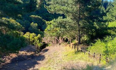 Sitio en Venta en el chorrillo