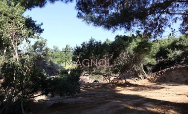 Sitio en Venta en el chorrillo