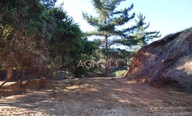 Sitio en Venta en el chorrillo