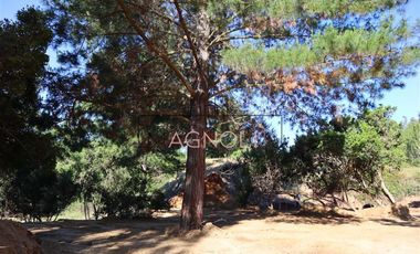 Sitio en Venta en el chorrillo