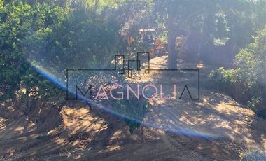 Sitio en Venta en el chorrillo