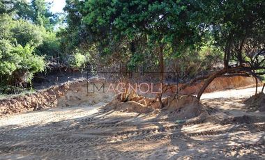 Sitio en Venta en el chorrillo