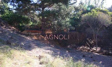 Sitio en Venta en el chorrillo