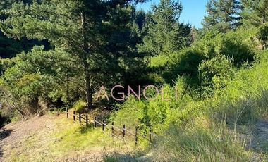 Sitio en Venta en el chorrillo