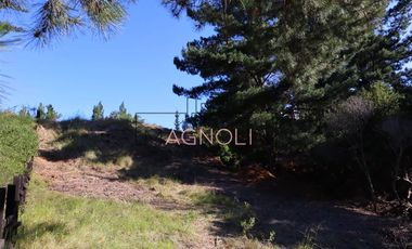 Sitio en Venta en el chorrillo