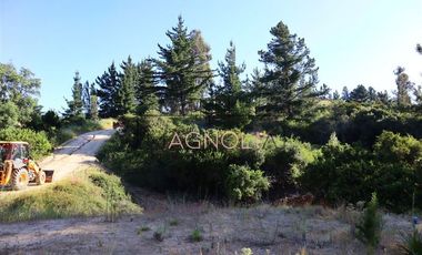 Sitio en Venta en el chorrillo