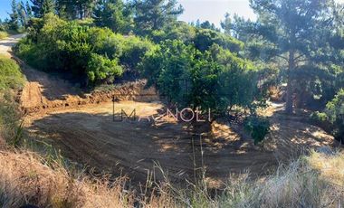 Sitio en Venta en el chorrillo