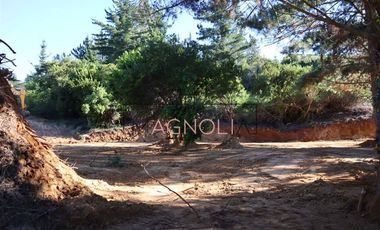 Sitio en Venta en el chorrillo