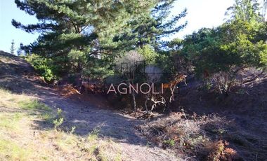 Sitio en Venta en el chorrillo