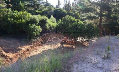 Sitio en Venta en el chorrillo