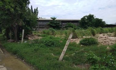 Lot for Lease or Rent in Mandaue City, Cebu, 1,500 sqm