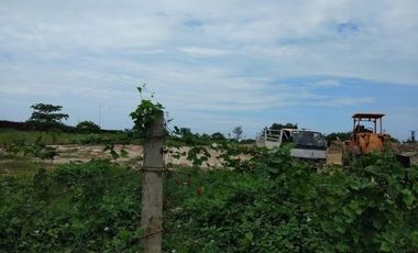 Lot for Lease or Rent in Mandaue City, Cebu, 1,500 sqm