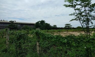 Lot for Lease or Rent in Mandaue City, Cebu, 1,500 sqm